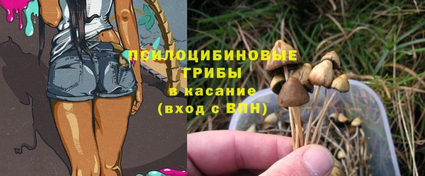 ECSTASY Арсеньев