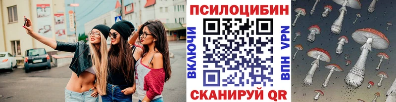 что такое   Лыткарино  Псилоцибиновые грибы GOLDEN TEACHER 